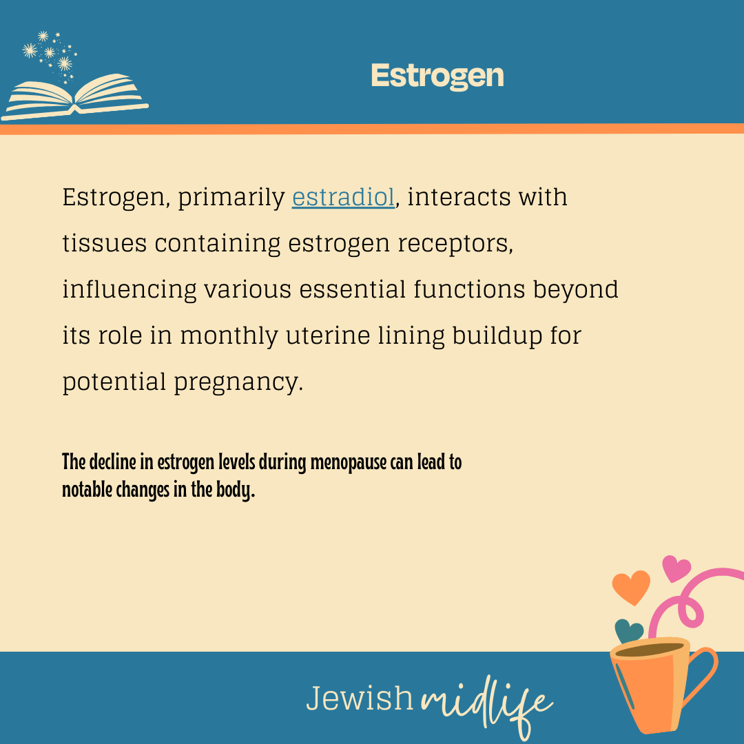 Estrogen.02