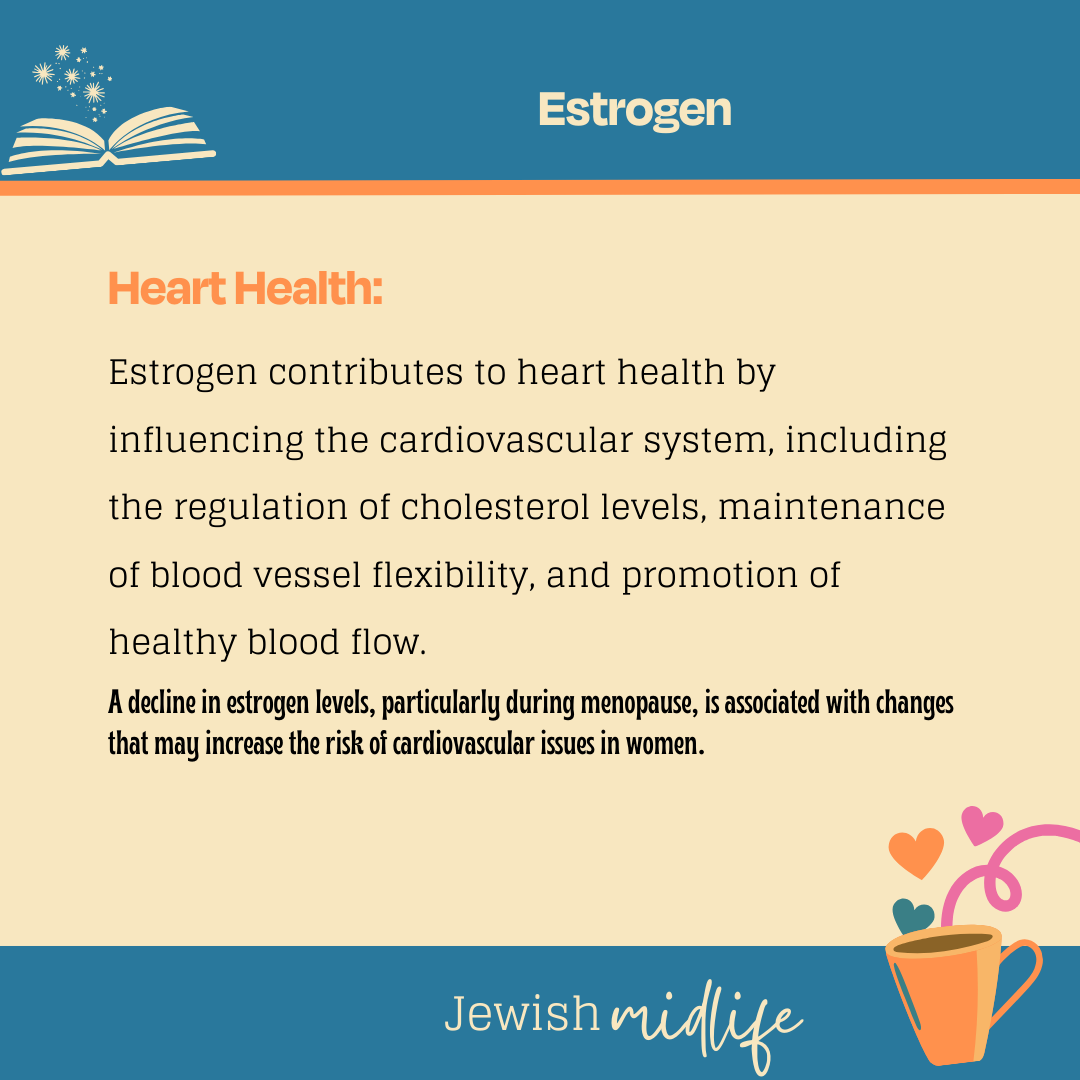 Estrogen.04