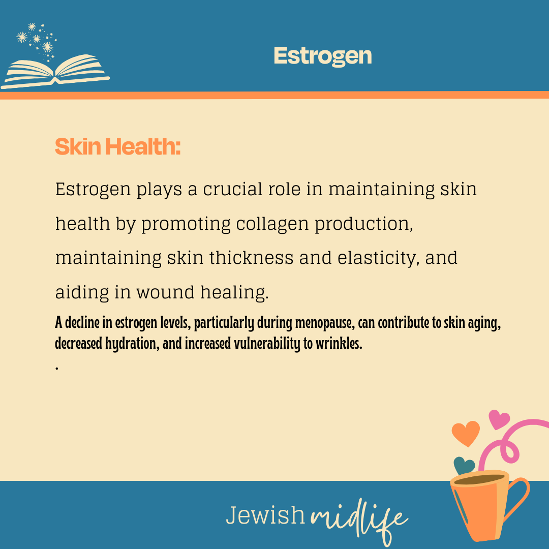 Estrogen.06