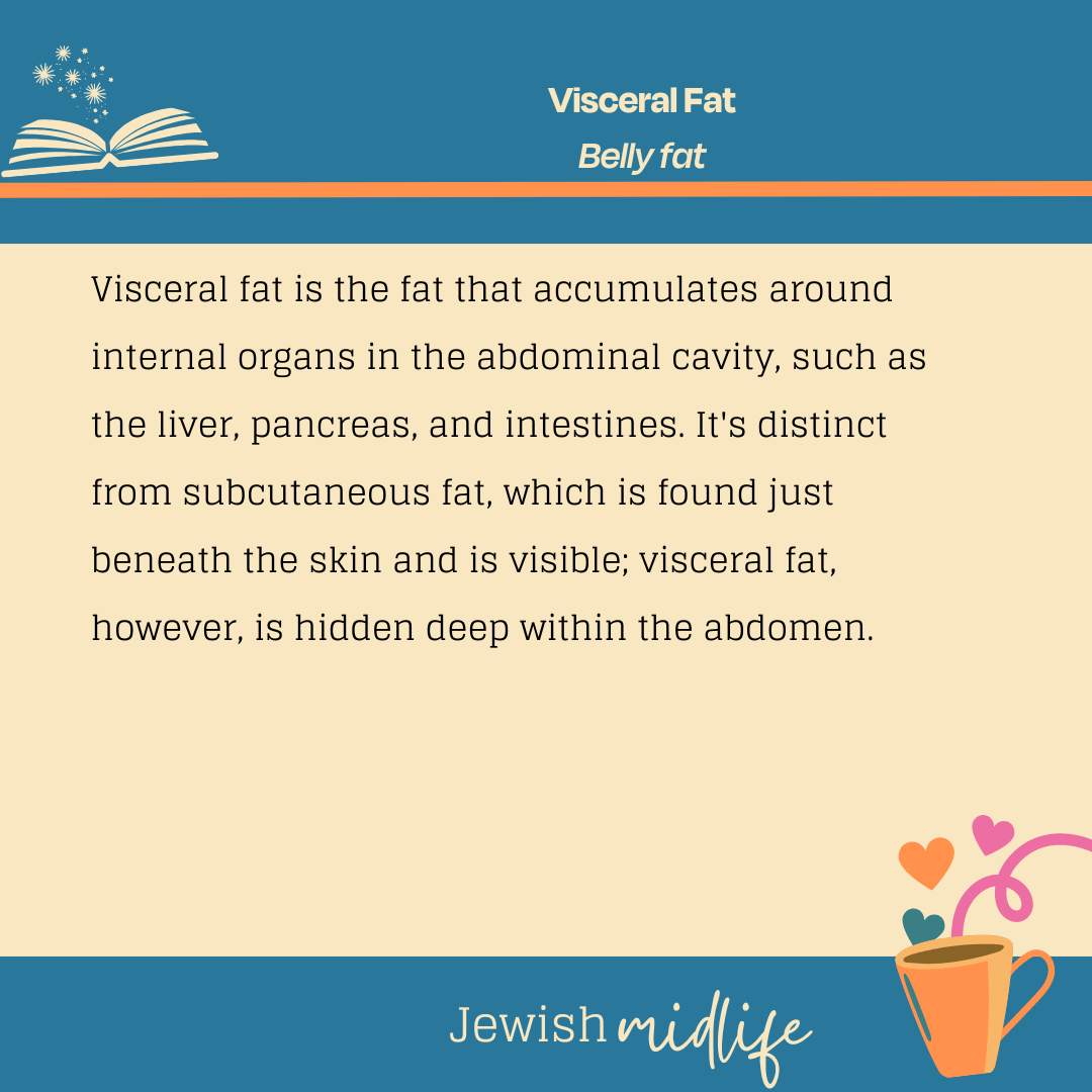 Visceral fat.02